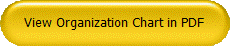 View Organization Chart in PDF
